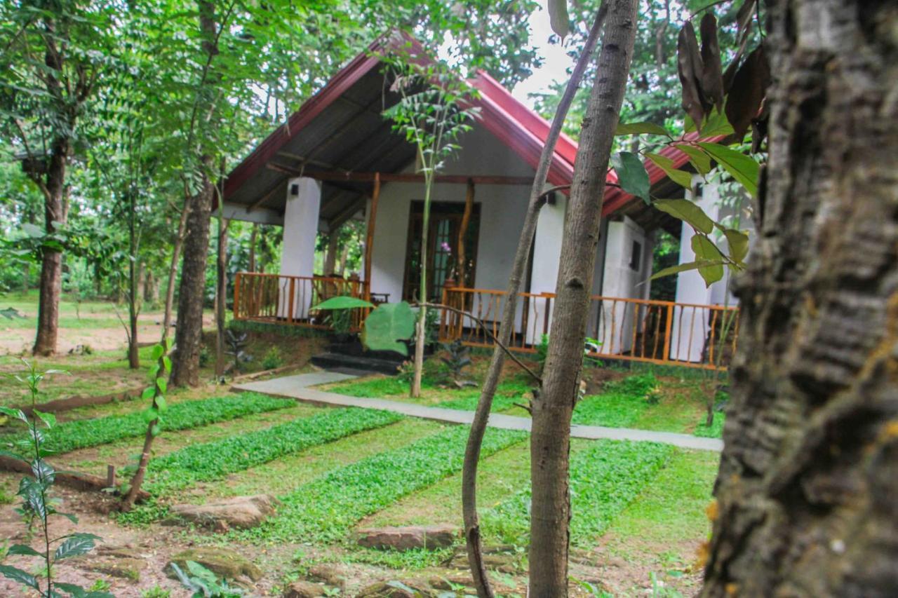 Victory Villa สิกิริยา ภายนอก รูปภาพ
