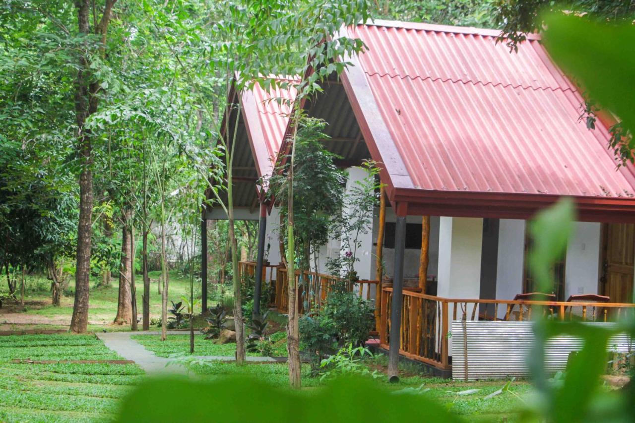 Victory Villa สิกิริยา ภายนอก รูปภาพ