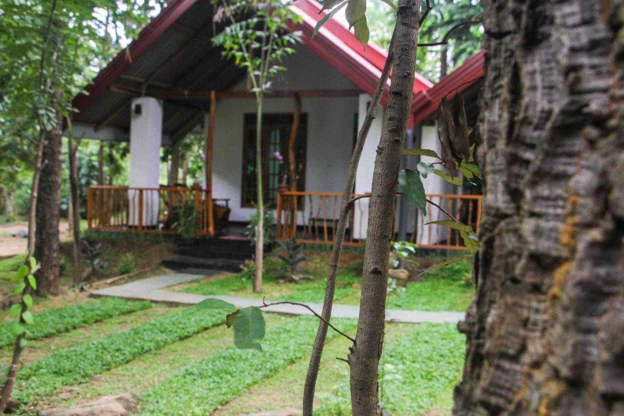 Victory Villa สิกิริยา ภายนอก รูปภาพ