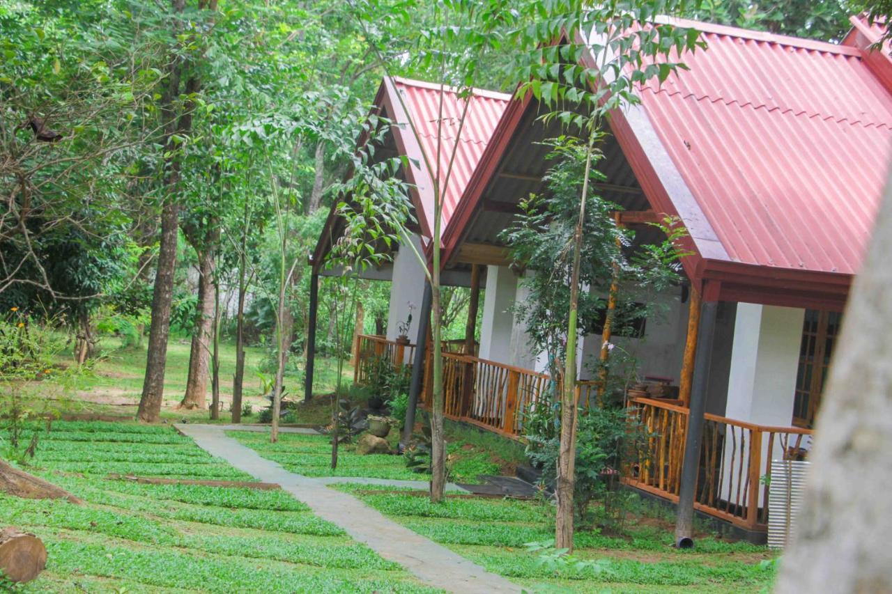 Victory Villa สิกิริยา ภายนอก รูปภาพ