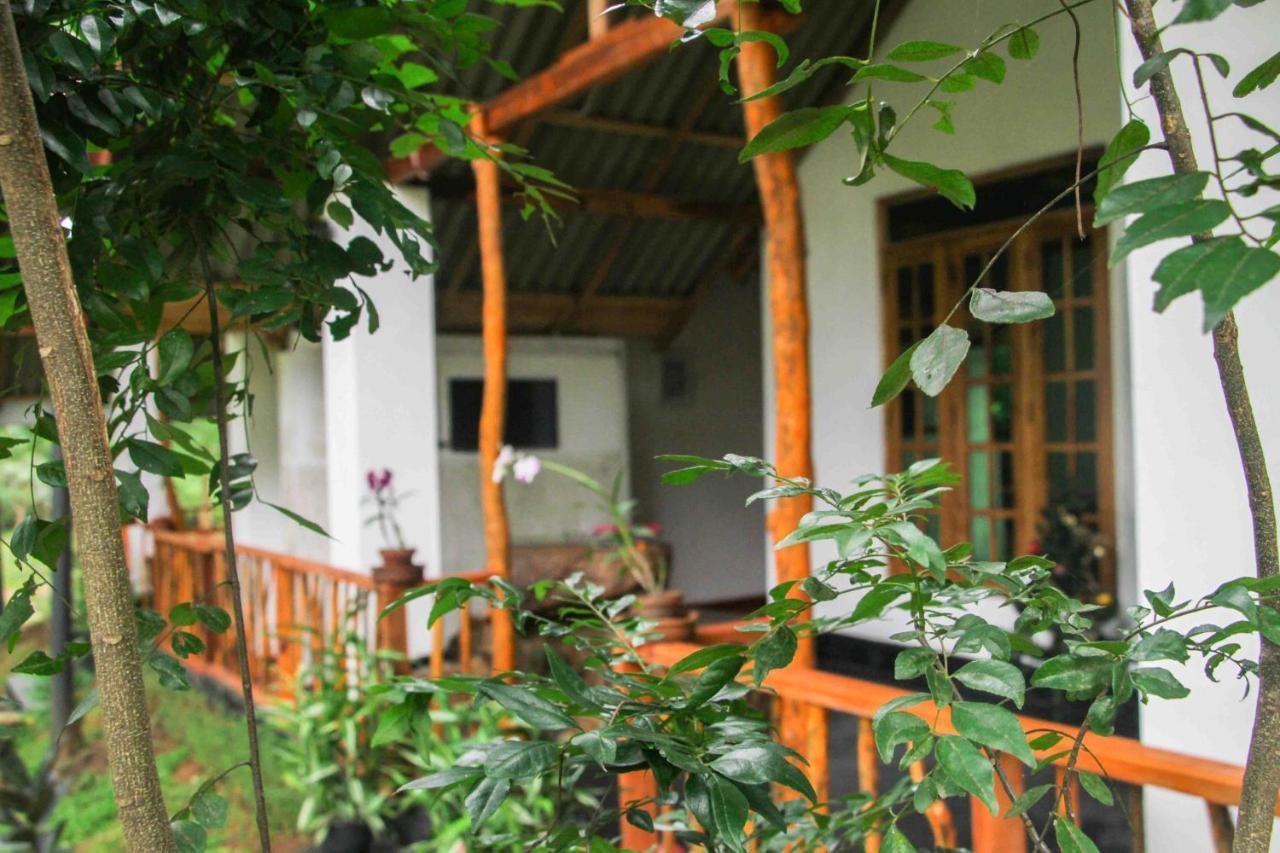 Victory Villa สิกิริยา ภายนอก รูปภาพ
