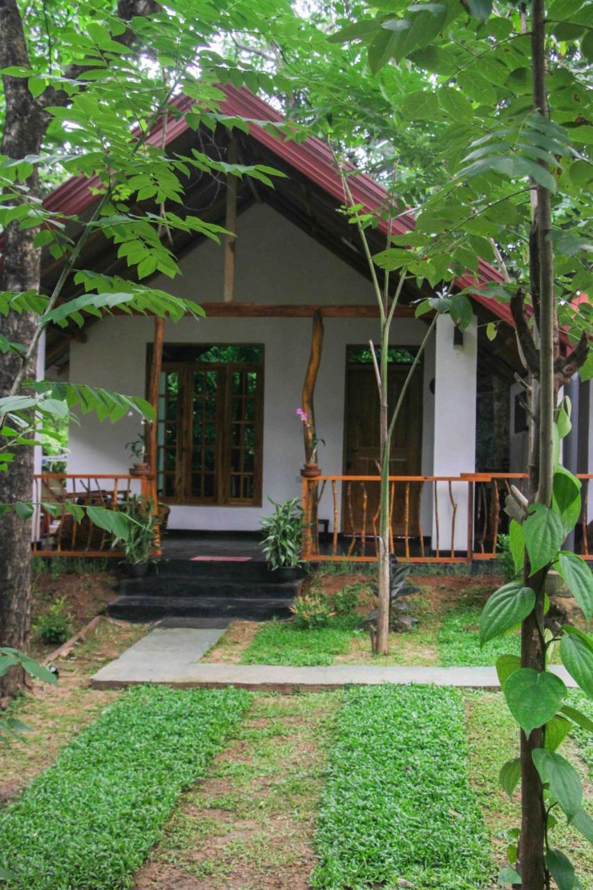 Victory Villa สิกิริยา ภายนอก รูปภาพ